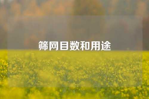 筛网目数和用途