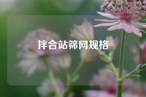 拌合站筛网规格