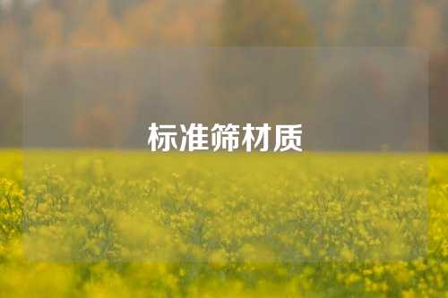 标准筛材质