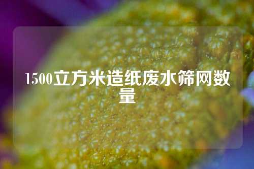 1500立方米造纸废水筛网数量