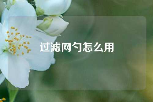 过滤网勺怎么用