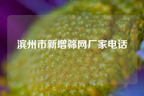 滨州市新增筛网厂家电话