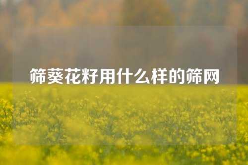 筛葵花籽用什么样的筛网