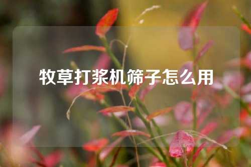 牧草打浆机筛子怎么用