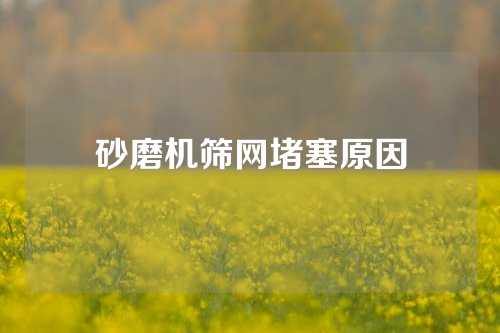 砂磨机筛网堵塞原因