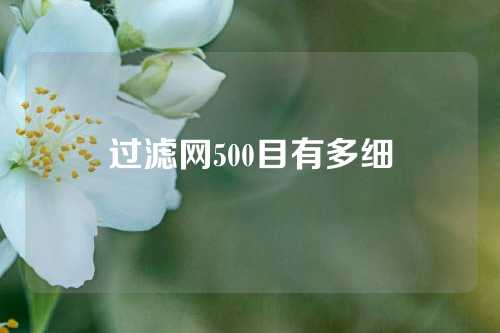 过滤网500目有多细