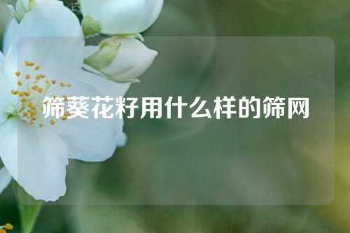 筛葵花籽用什么样的筛网