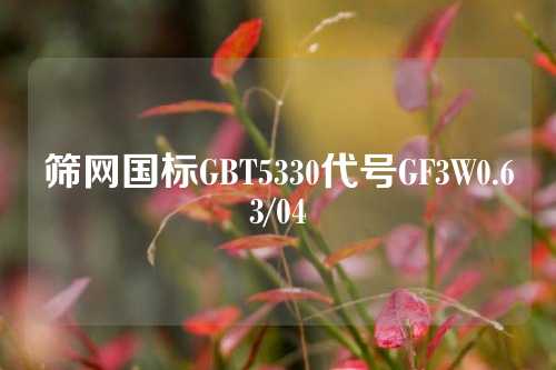 筛网国标GBT5330代号GF3W0.63/04