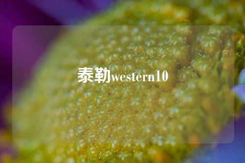 泰勒western10