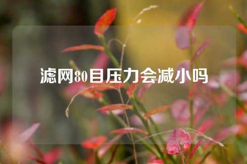 滤网80目压力会减小吗