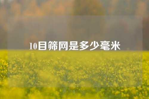 10目筛网是多少毫米