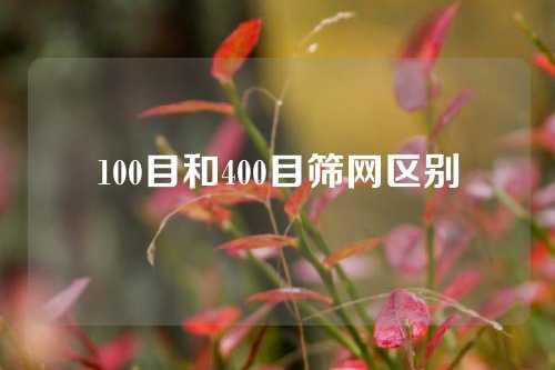 100目和400目筛网区别