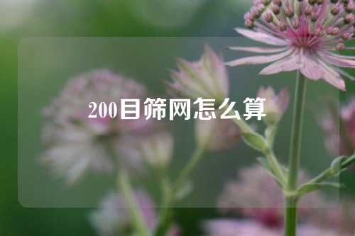 200目筛网怎么算