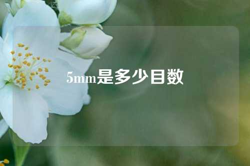 5mm是多少目数