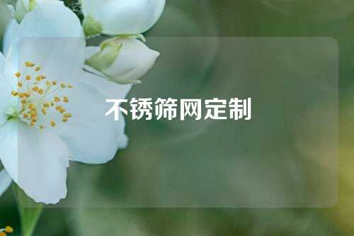 不锈筛网定制