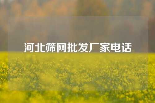 河北筛网批发厂家电话