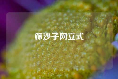 筛沙子网立式