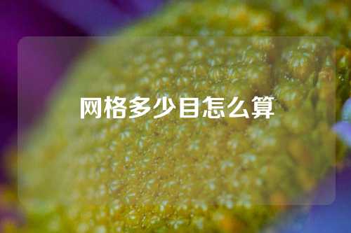 网格多少目怎么算