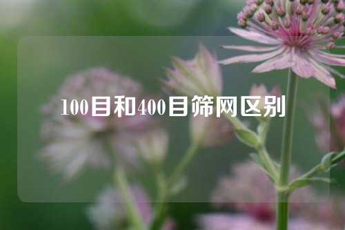 100目和400目筛网区别