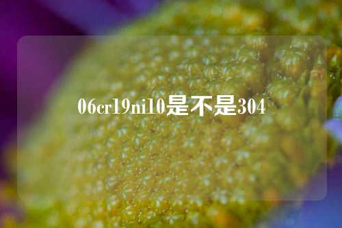 06cr19ni10是不是304