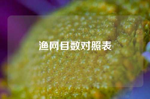 渔网目数对照表