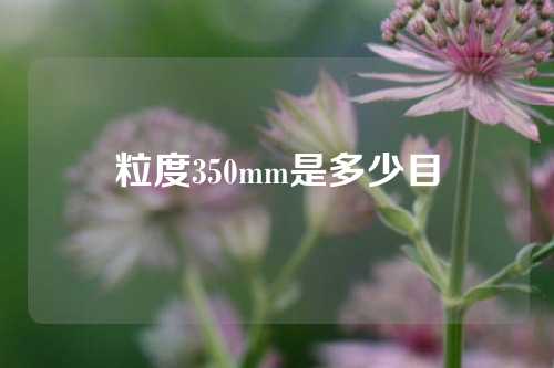 粒度350mm是多少目