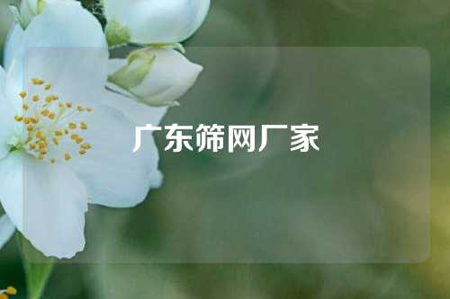 广东筛网厂家