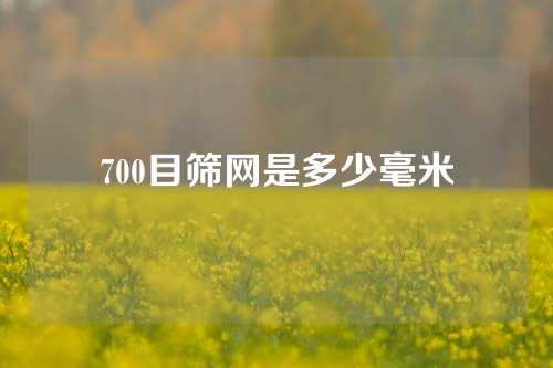 700目筛网是多少毫米