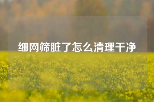 细网筛脏了怎么清理干净