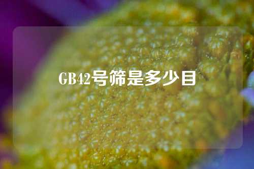 GB42号筛是多少目