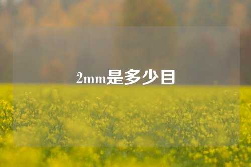 2mm是多少目