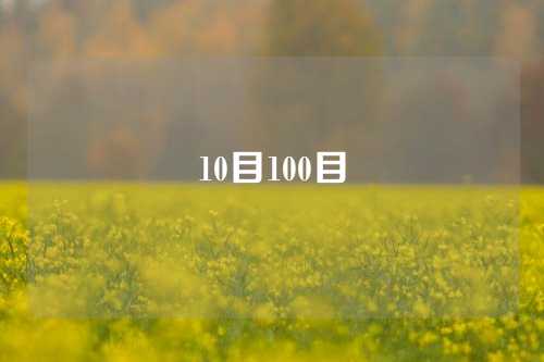 10目100目