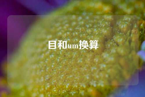 目和um换算