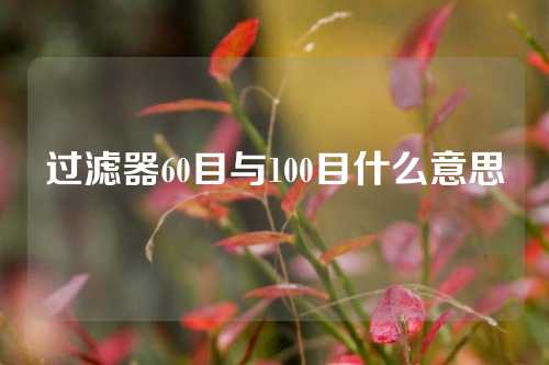 过滤器60目与100目什么意思