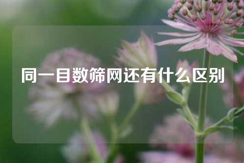 同一目数筛网还有什么区别