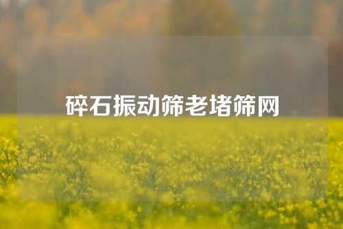 碎石振动筛老堵筛网