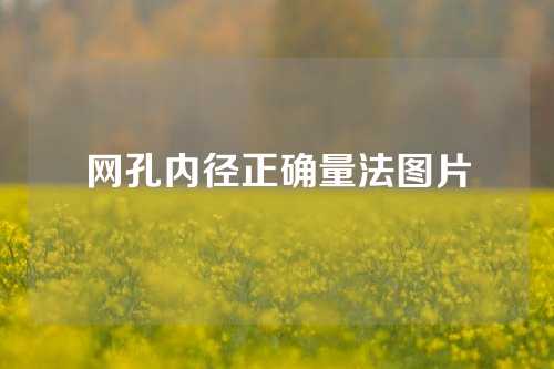 网孔内径正确量法图片