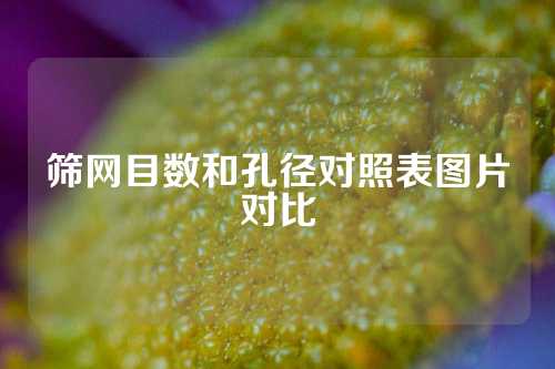 筛网目数和孔径对照表图片对比