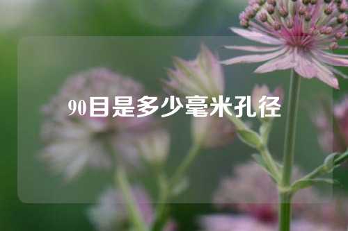 90目是多少毫米孔径