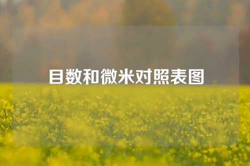 目数和微米对照表图