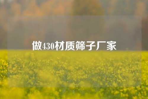 做430材质筛子厂家