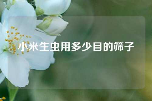 小米生虫用多少目的筛子