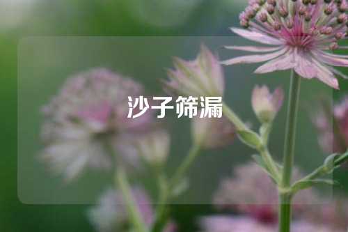 沙子筛漏