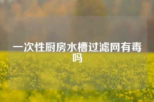 一次性厨房水槽过滤网有毒吗