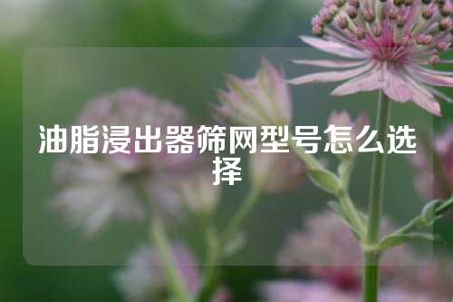 油脂浸出器筛网型号怎么选择