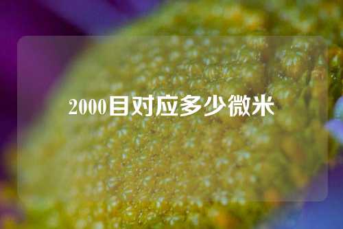 2000目对应多少微米