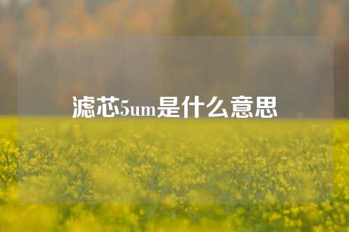 滤芯5um是什么意思