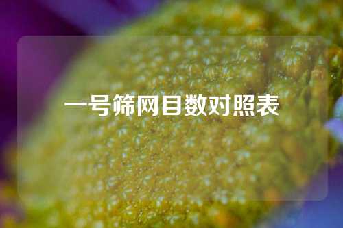 一号筛网目数对照表