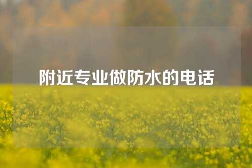 附近专业做防水的电话