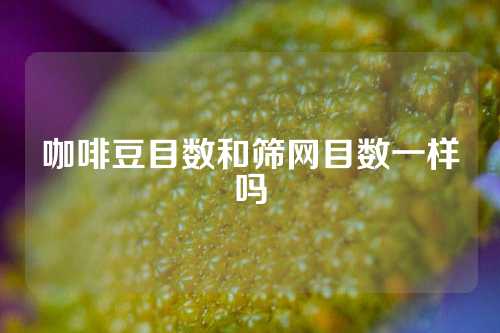 咖啡豆目数和筛网目数一样吗